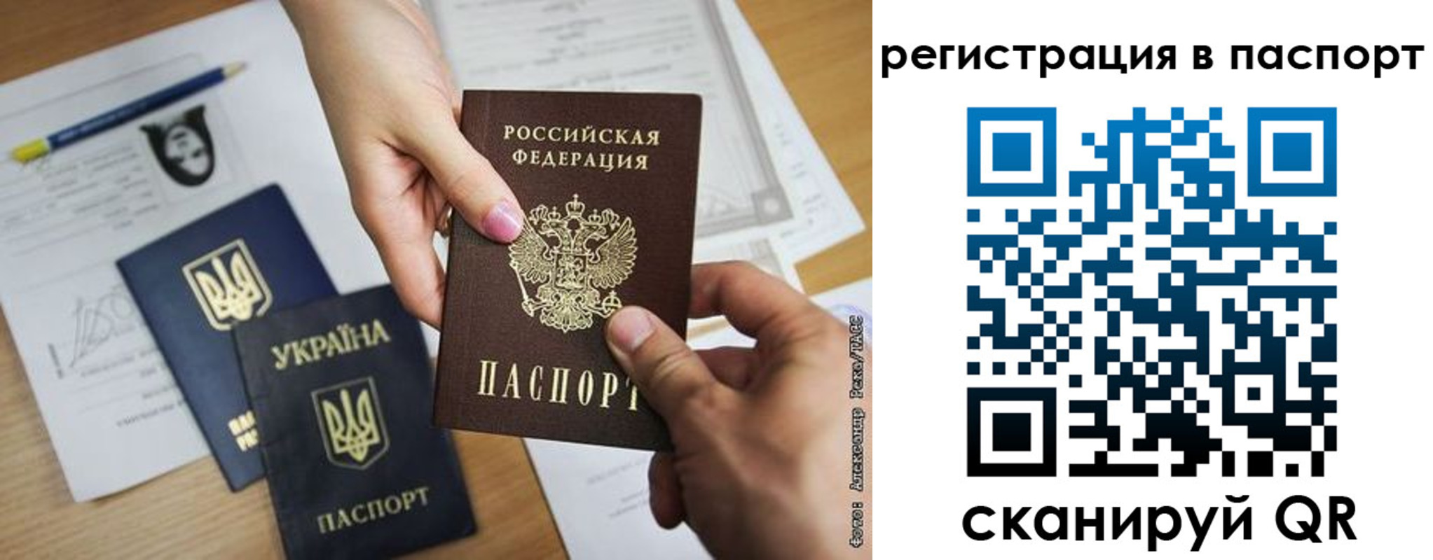 прописка поиск в Бийске